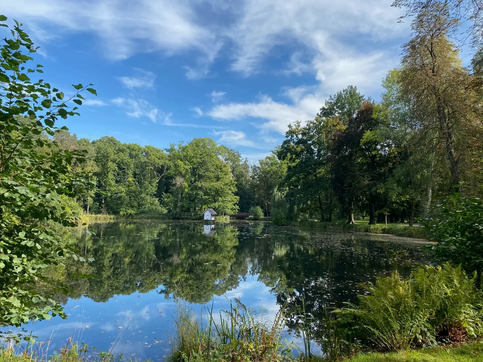 Idyllic waterways in the Spreewald