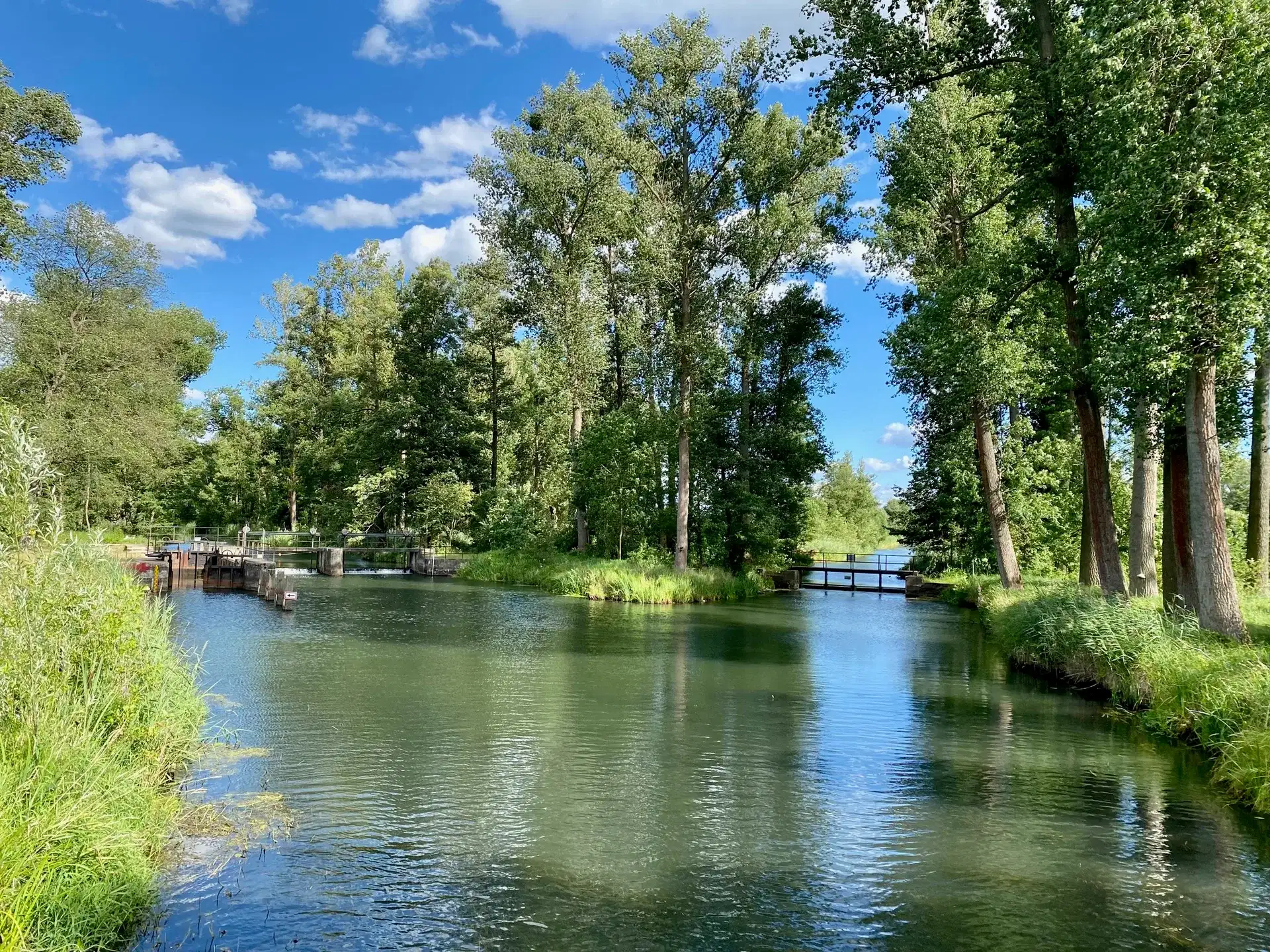 Boat tour through enchanted waterways